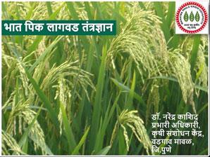 भात पिक लागवड तंत्रज्ञान-डॉ नरेंद्र काशिद