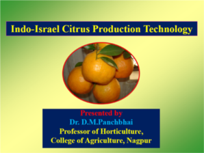 Indo-Israel Citrus Production Technology