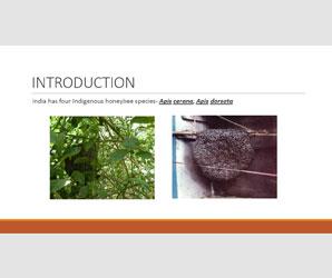 Beekeeping for Farmers Entrepreneurship Development