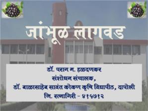 जांभूळ लागवड