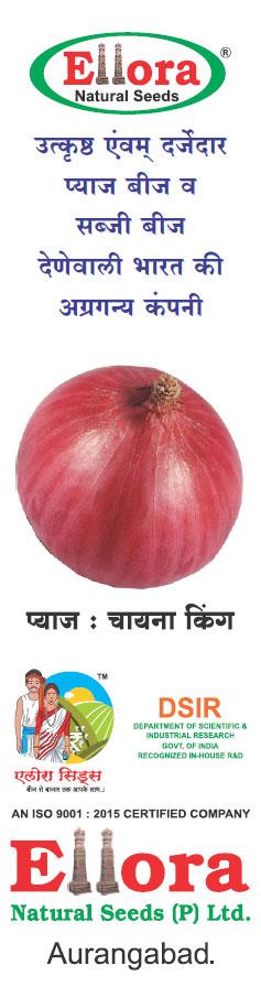 उत्कृष्ठ एवम् दर्जेदार प्याज बीज व सब्जी बीज देनेवाली भारत की  अग्रगण्य कंपनी
