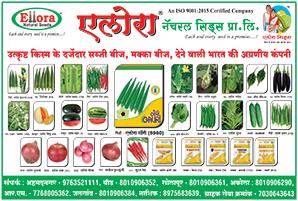 उत्कृष्ठ एवम् दर्जेदार प्याज बीज व सब्जी बीज देनेवाली भारत की  अग्रगण्य कंपनी